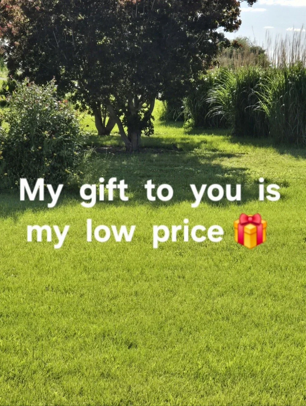 My Gift - Picture 1 of 2